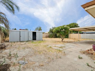137 Braemore Street, Seville Grove