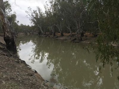 Riverside Homestead Colenso Park Road, Barham