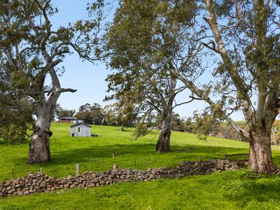 1469 Kyneton-Redesdale Road, Barfold