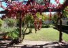 39 Sampson Street, Orange