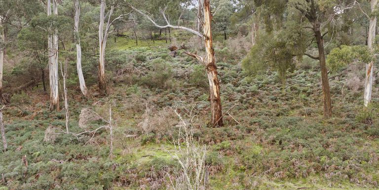 Lot 1 & 2 McCombes Road, Creek Junction