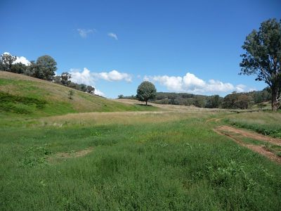 Little Billabong Road, Holbrook
