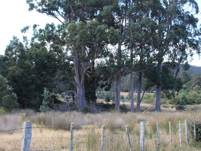 Lot 1 & 2, Harwoods Road, Castle Forbes Bay