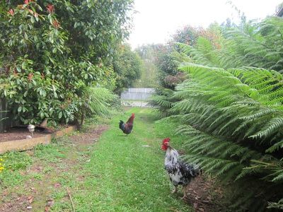 96 Fourfoot Road, Geeveston