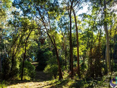 100 Hobbs Point Road, Narooma