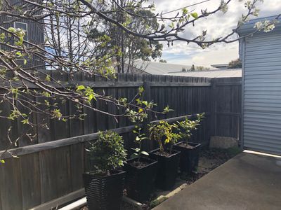 172B Ormond Road, Thomson