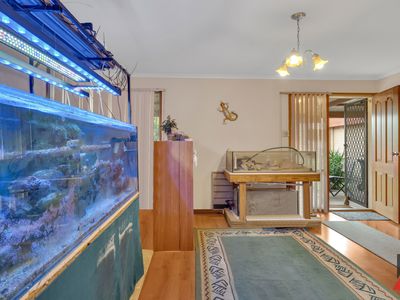 66 Silvereye Crescent, Werribee