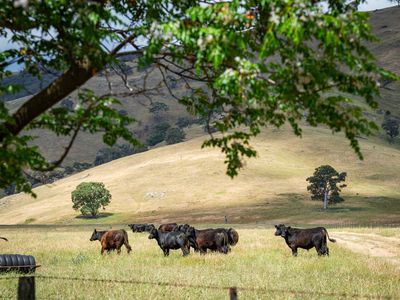 4118 Murray River Road, Thologolong