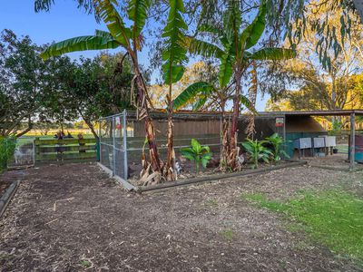 752 Beachmere Road, Beachmere