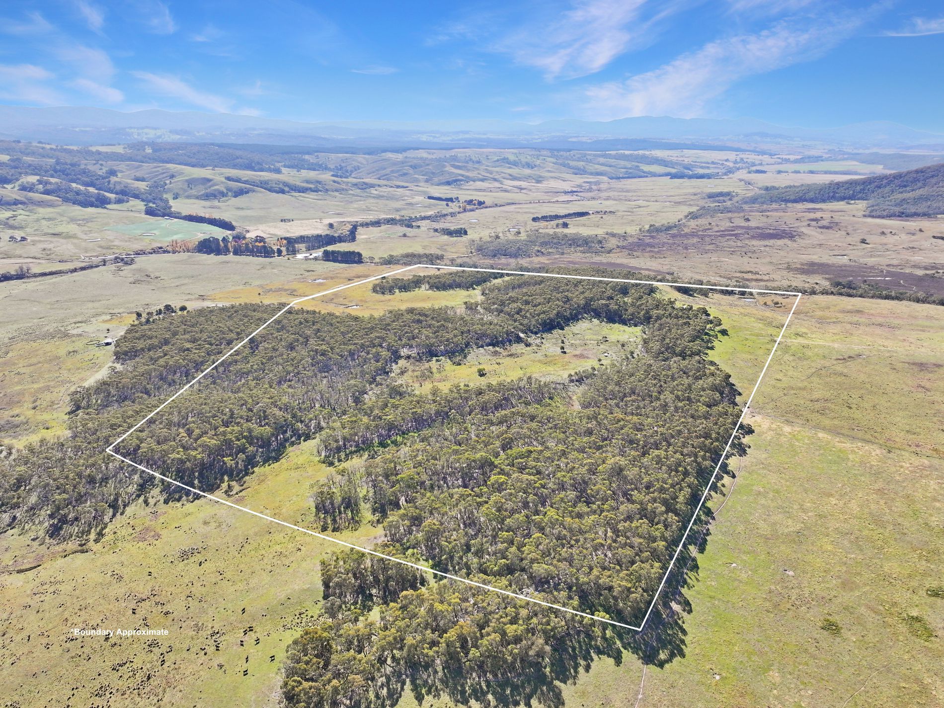 14 Harts Road, Braidwood