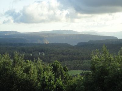 Robertson