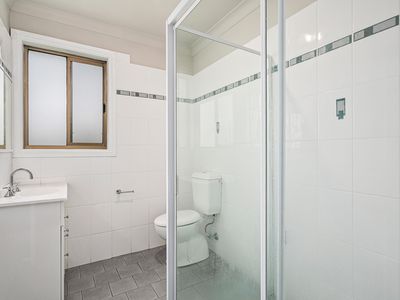 113 Burke Road, Dapto