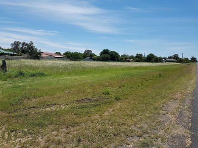 99 Wattle Crescent, Narromine