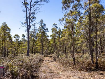 1  Part of 160 Sand Marsh Road, Woodsdale