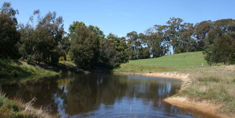 Tames Road, Strathbogie