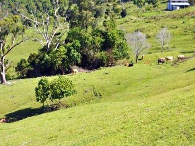 Lot 2, L 2 Brandenberg Road, Maleny