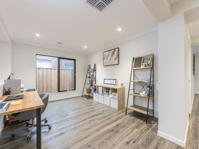 29 Thoroughbred Drive, Clyde North