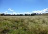 - Bowan Park Road, Orange