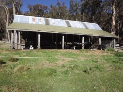 Grafton Road, Glen Elgin