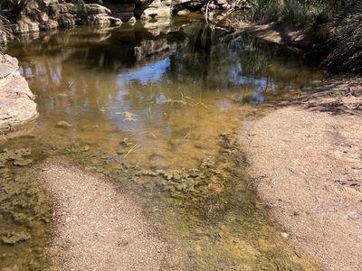 1766 FLAGGS ROAD, Gungal