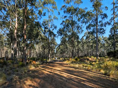 123 Lake View Road, Lake Leake