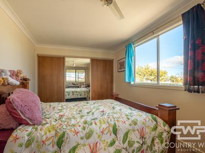 130 Ferguson Street, Glen Innes
