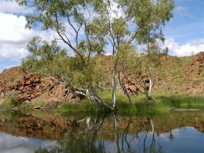 3 Massingham Street, Nullagine