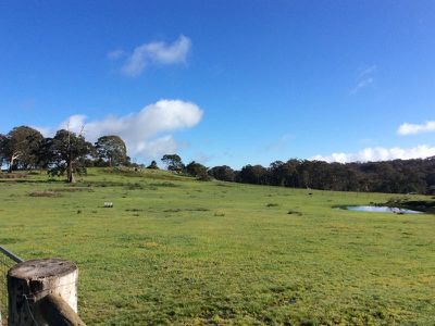 280 Landscape Road, Tallarook