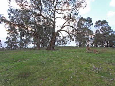 175 Chamberlain Road, Heathcote