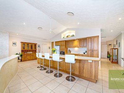 50 Sandbek Street, Annandale