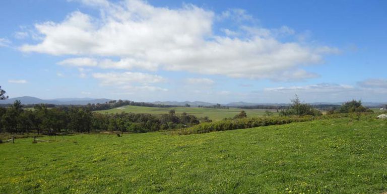 Harrys Creek Road, Strathbogie