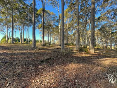 Lot 16, Mystery Bay Road, Mystery Bay