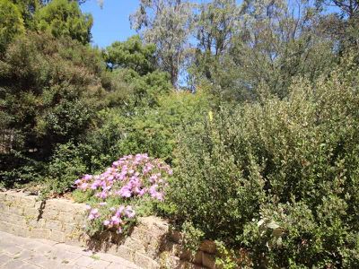 616 Abels Bay Road, Eggs And Bacon Bay