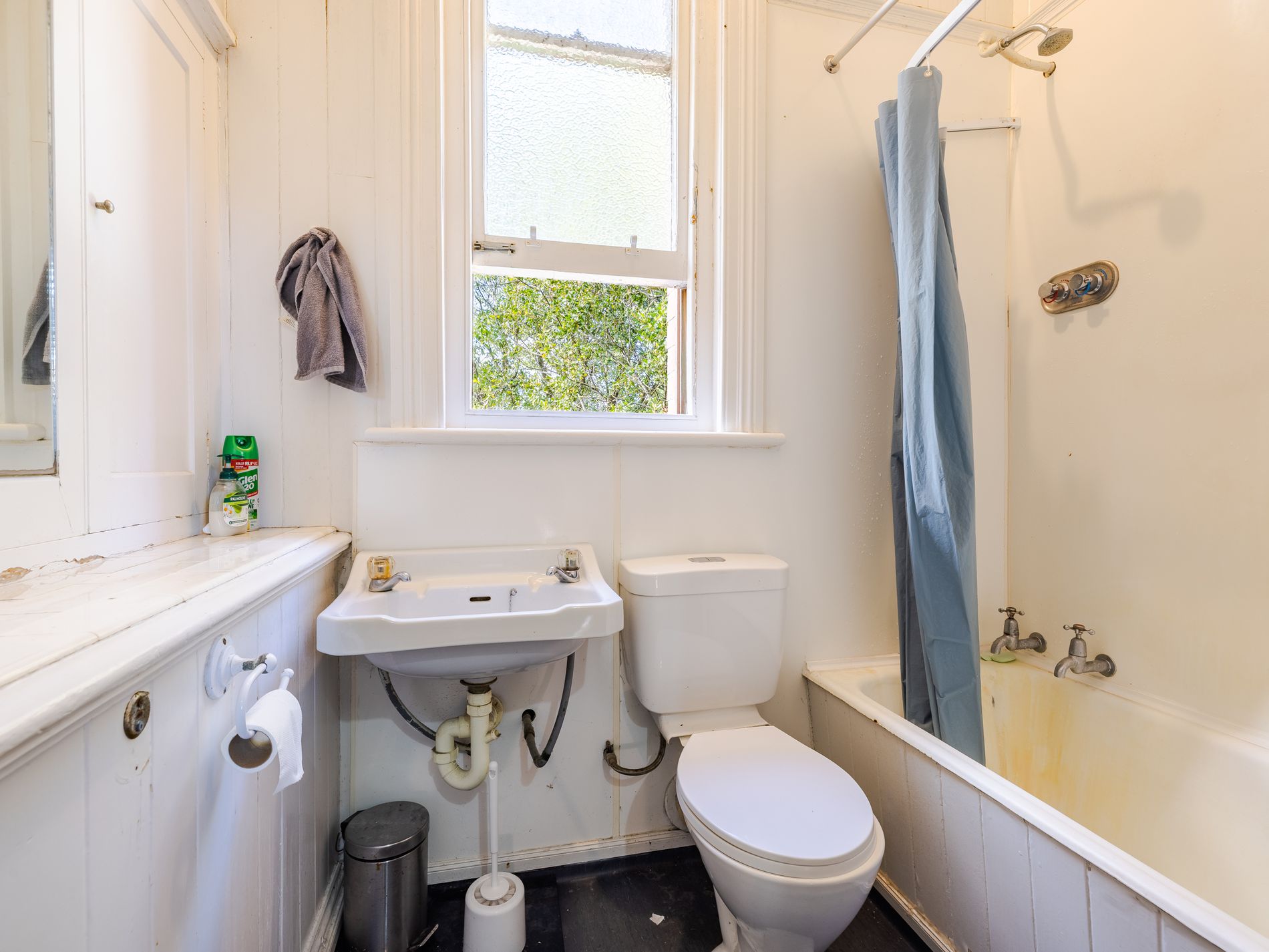 473 Great King Street, North Dunedin
