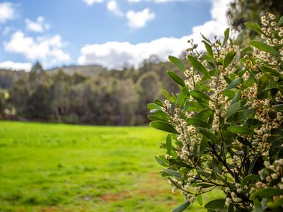 Lot 1, Fourfoot Rd, Geeveston