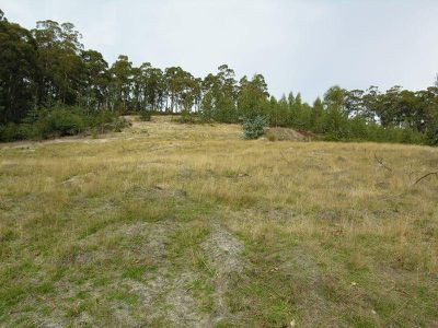 Cowmeadows Road, Cradoc