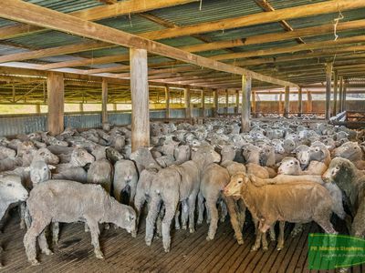 351 Shepherds Creek Road, Euchareena