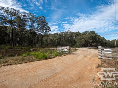 106 Warra Forest Road, Mount Mitchell