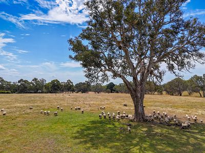 Glenelg Highway, Bochara