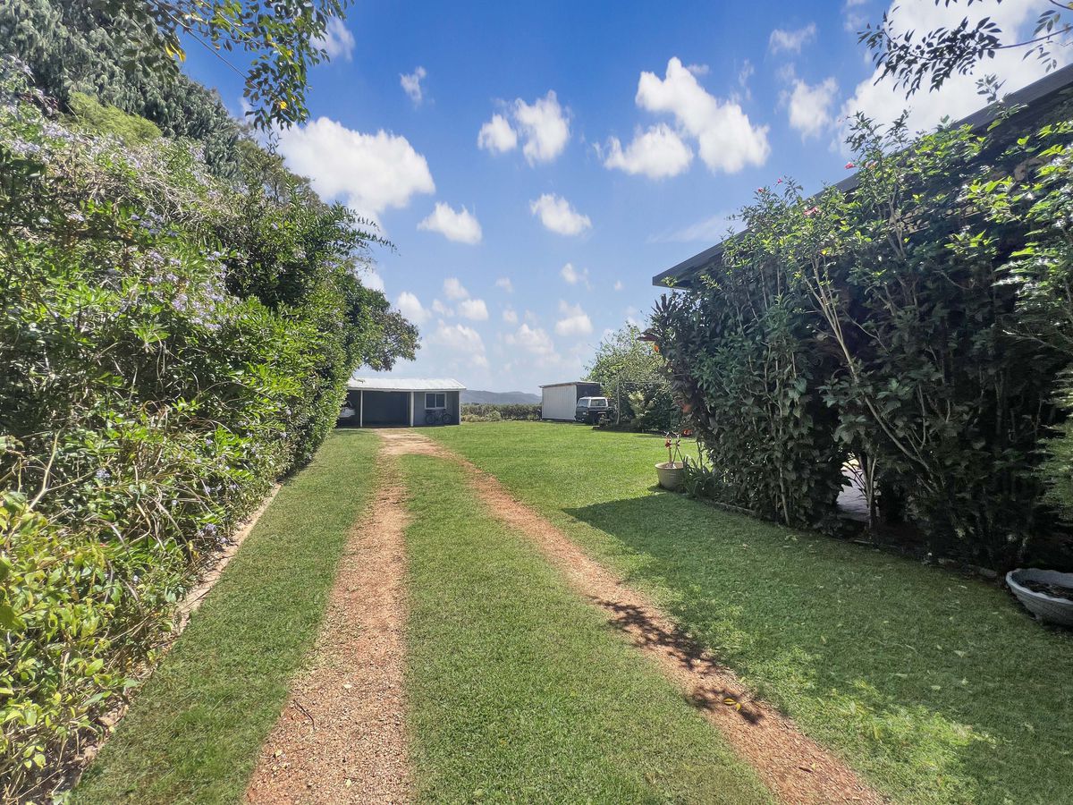 16 Irvine Street, Kairi