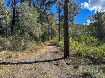 Canungra