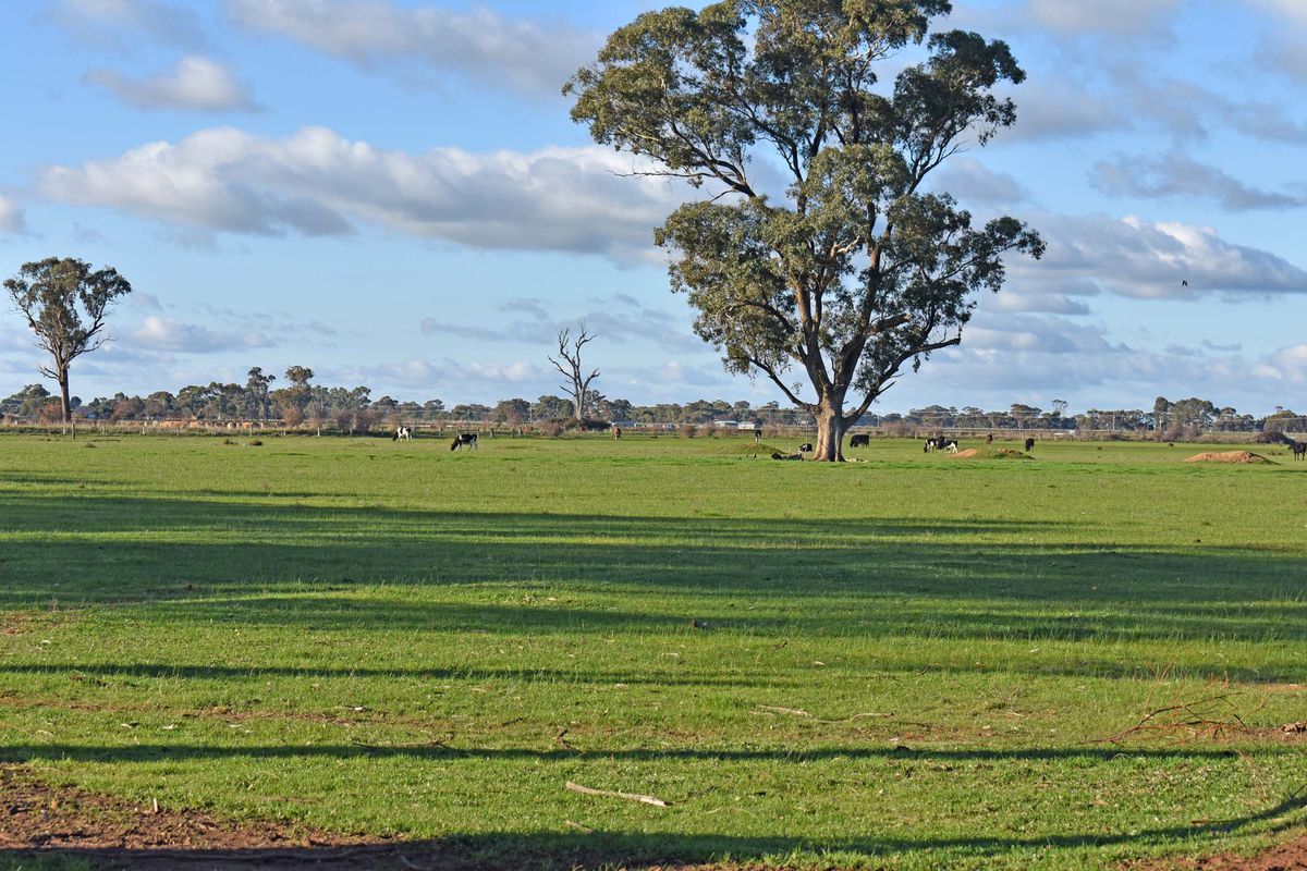 Cnr. Peppertree Lane & Gillies Road, Kyabram