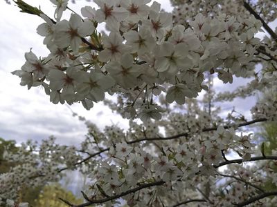 16 Arve Road, Geeveston