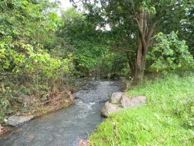 Maleny