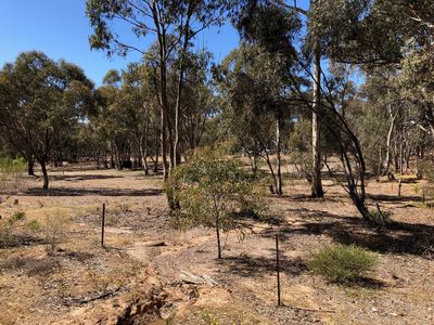 21 Godfrey Street, Wedderburn