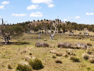 "Kheme Hill" Eastwood Road, York Plains