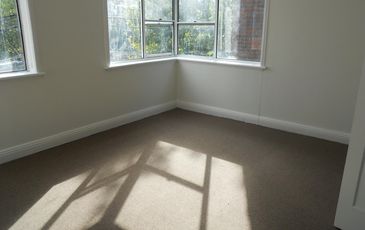 3 and 4 / 123 Alison  Road, Randwick