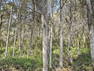 Lot 1, Huon Highway, Glendevie