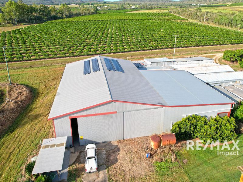 67 East Dawson Road, Mutchilba