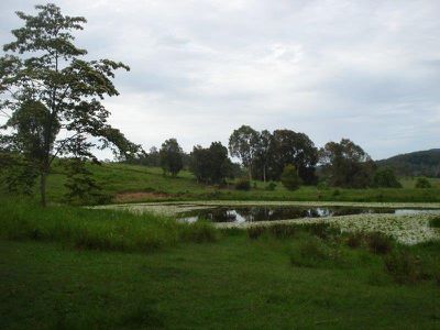 351 Kidaman Creek Road, Kidaman Creek